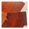 Topeasy Customized Wood Grain Powder Coating for Security Door